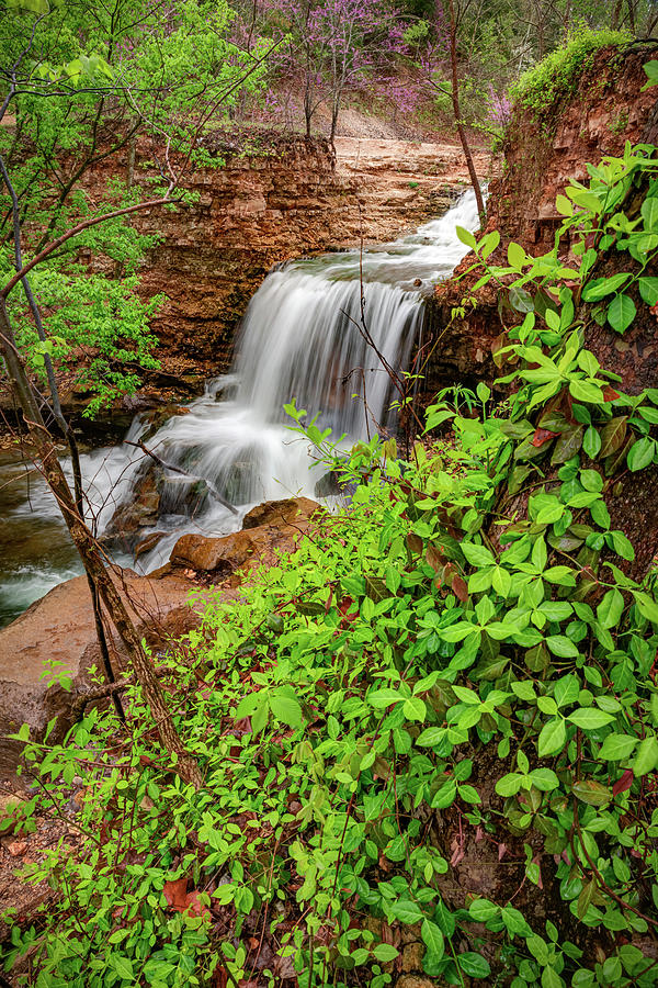 Spring Waters Of Tanyard Creek Falls - Bella Vista Arkansas Photograph