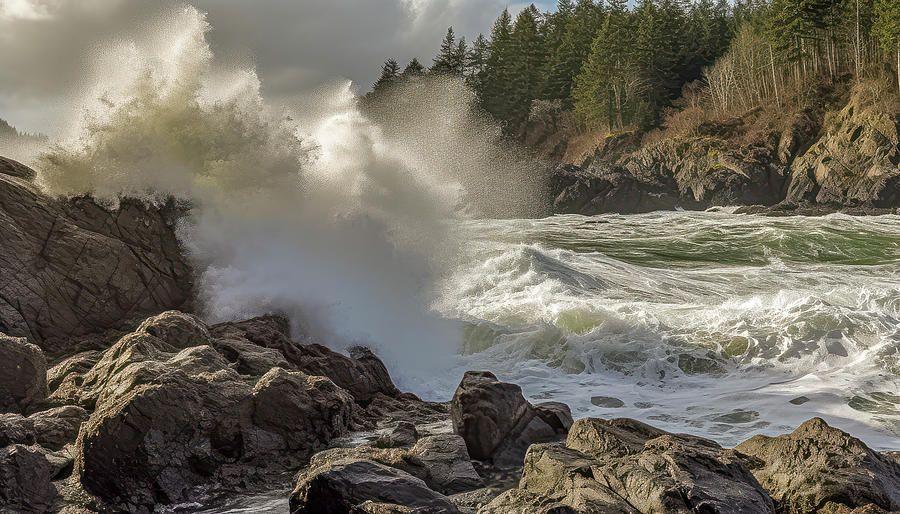 Spring Waves Photograph by Bill Posner