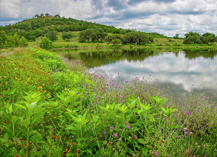 Spring Wildflowers and Reflections at Joshua Creek Photograph by Lynn Bauer