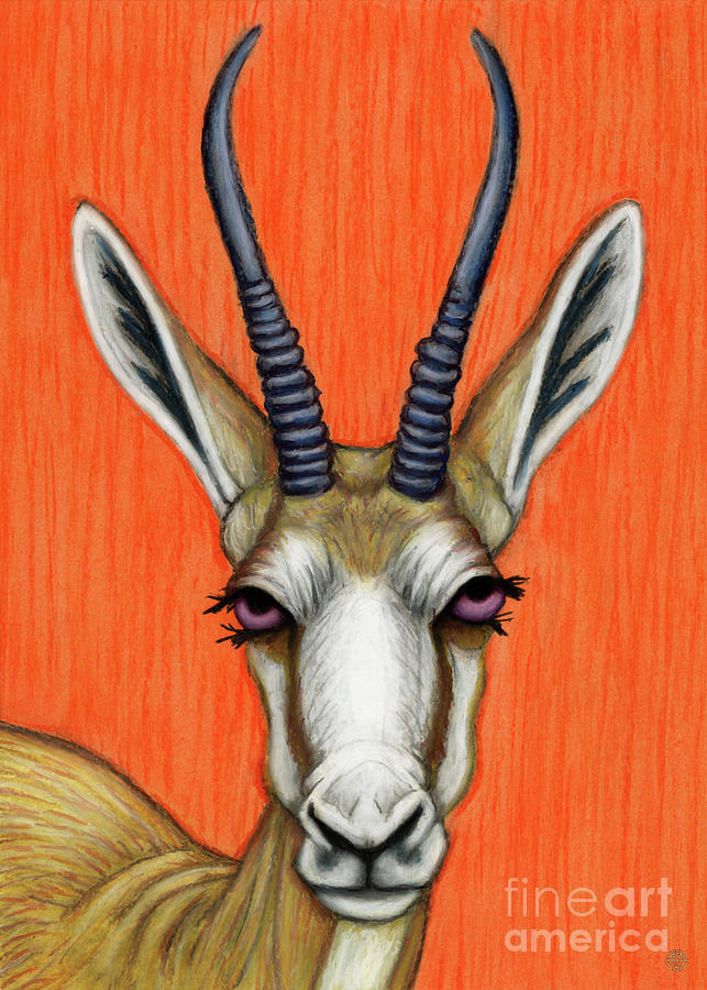 Springbok Antelope  Painting by Amy E Fraser
