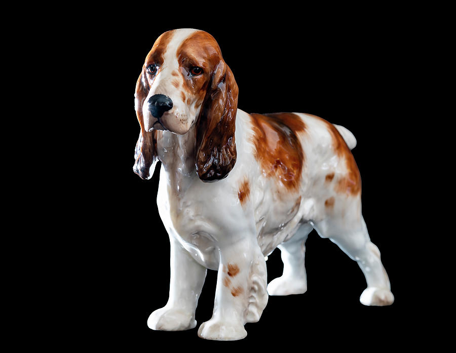 Dog Photograph - Springer Spaniel in Porcelain by Phil And Karen Rispin