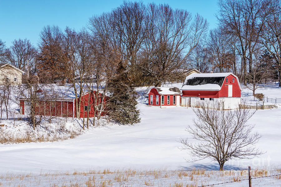 Springfield MO Winter Red Barn Photograph by Jennifer White