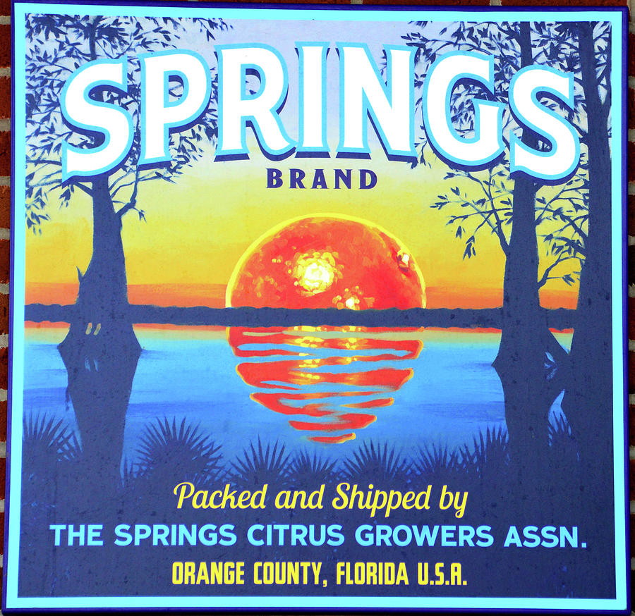 Springs Brand citrus label  Photograph by David Lee Thompson
