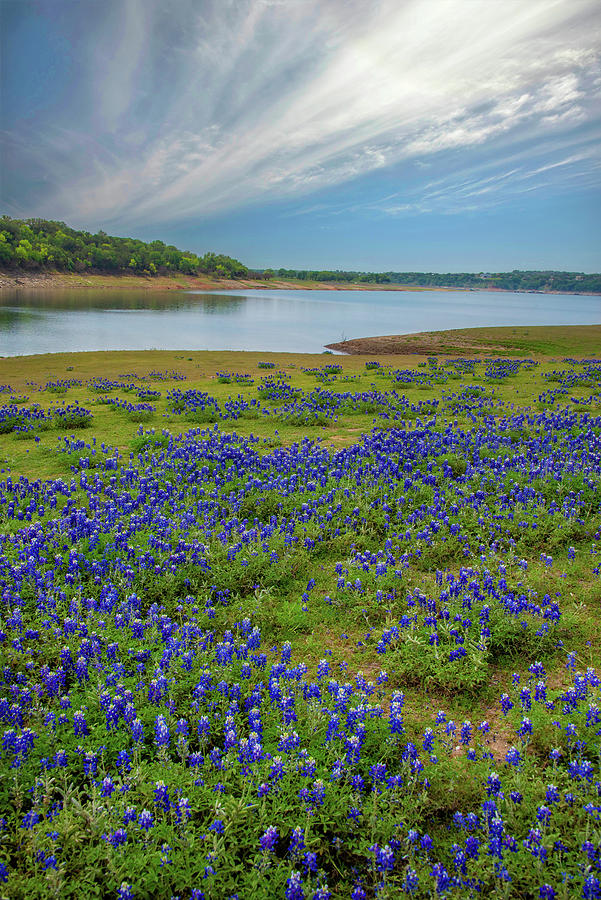 Springs Glory at Muleshoe Bend Photograph by Lynn Bauer