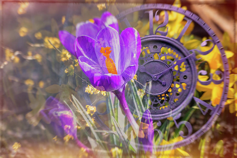Springtime 1 Digital Art by LGP Imagery