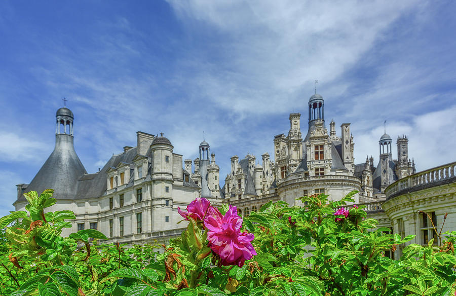 Springtime at Chateau Chambord Photograph by Marcy Wielfaert