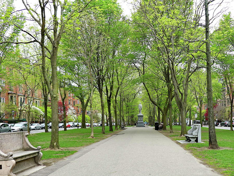 Springtime at Commonwealth Avenue Mall, Boston, MA Photograph by Lyuba ...