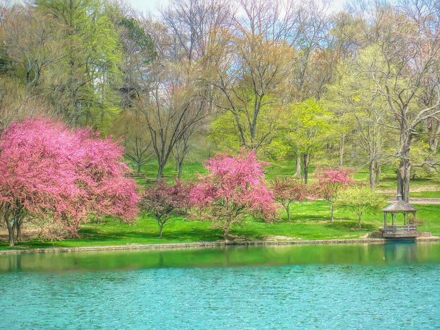 Springtime at Rising Park Photograph by Susan Hope Finley
