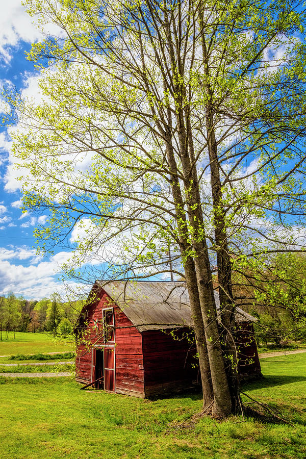 Springtime at the Barn  Photograph by Debra and Dave Vanderlaan