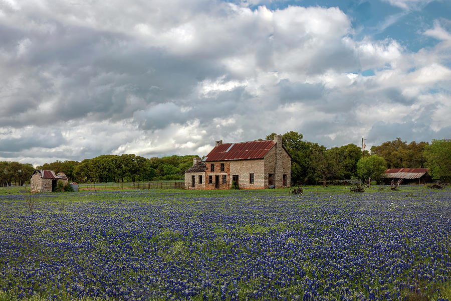 Spring At The Bluebonnet House-Texas Print Photograph by Harriet Feagin