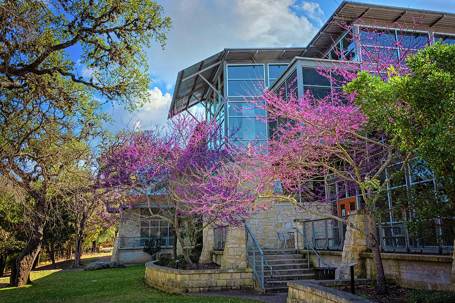 Springtime at the Library Photograph by Lynn Bauer