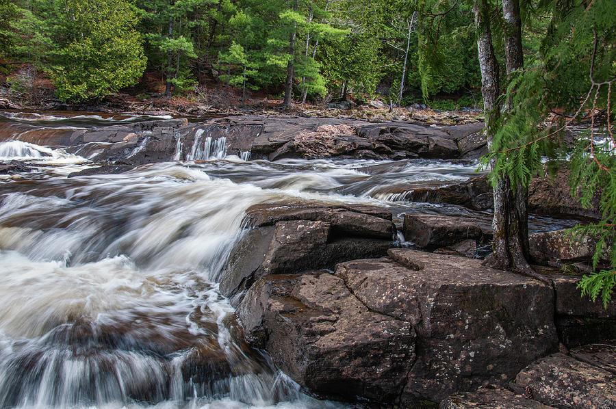 Springtime at Wilsons Falls Photograph by Andrew Wilson