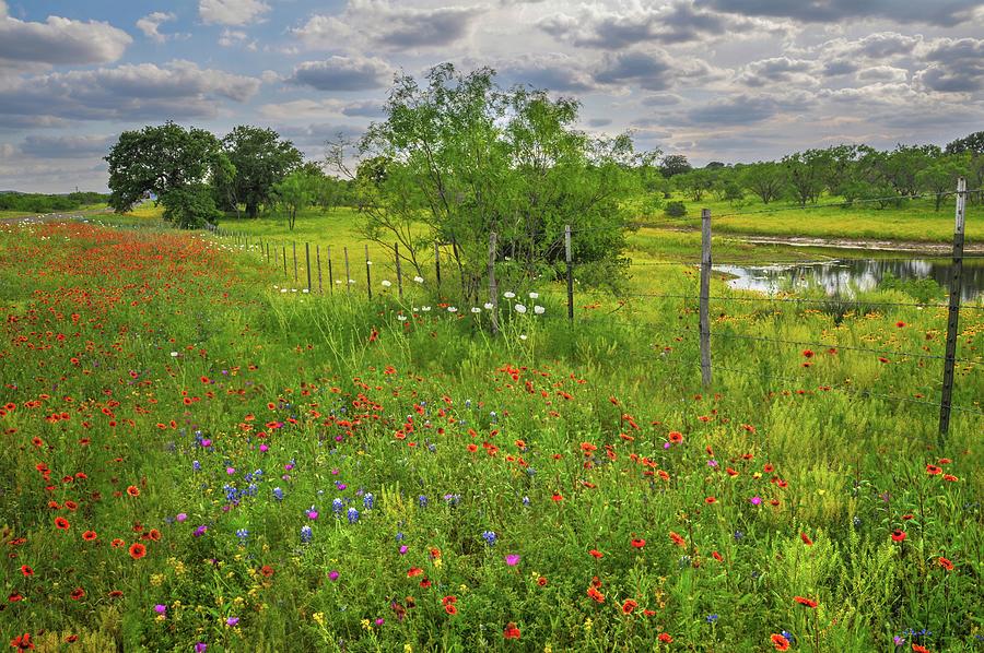 Landscape Photograph - Springtime Beauty by Lynn Bauer