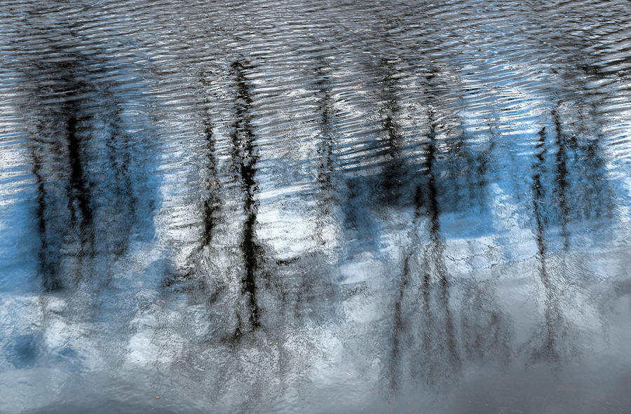 Springtime Beaver Pond Reflections - 2, Gatineau Park, Quebec. Photograph by Rob Huntley