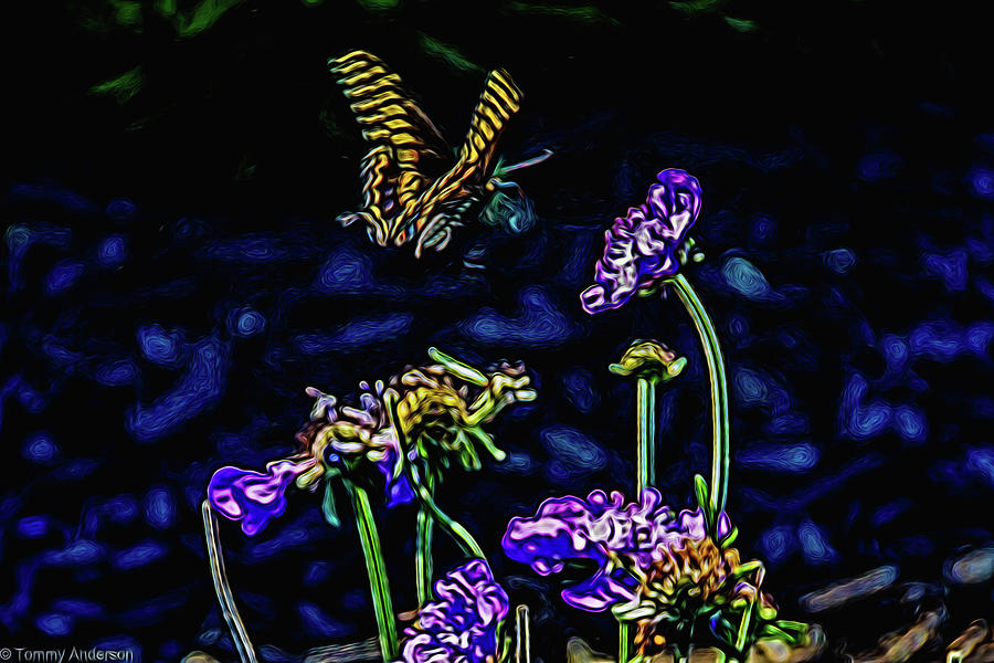 Springtime - Butterfly Art Digital Art by Tommy Anderson