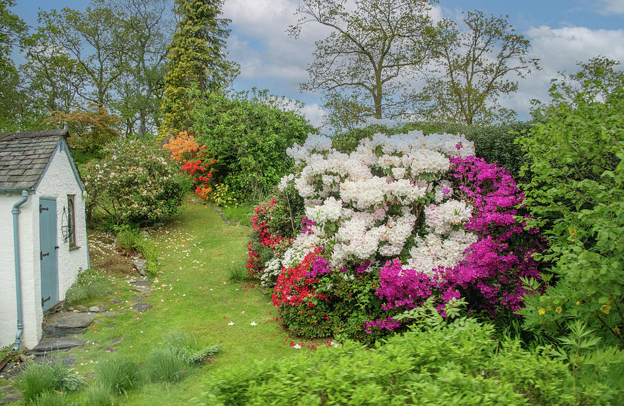 Springtime Color in Englands Lake District Photograph by Marcy Wielfaert
