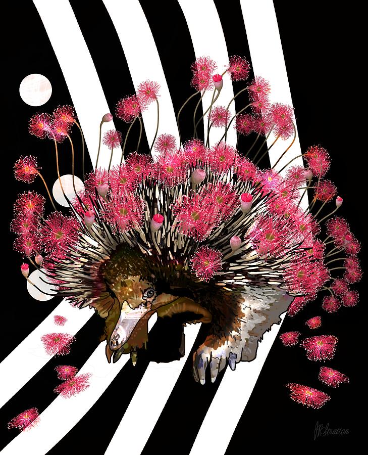 Springtime Fantasy Echidna Attracting His Mate Drawing by Joan Stratton
