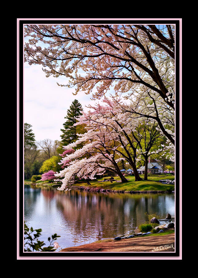 Springtime Glow - Richmond, Virginia Photograph by Marilyn DeBlock