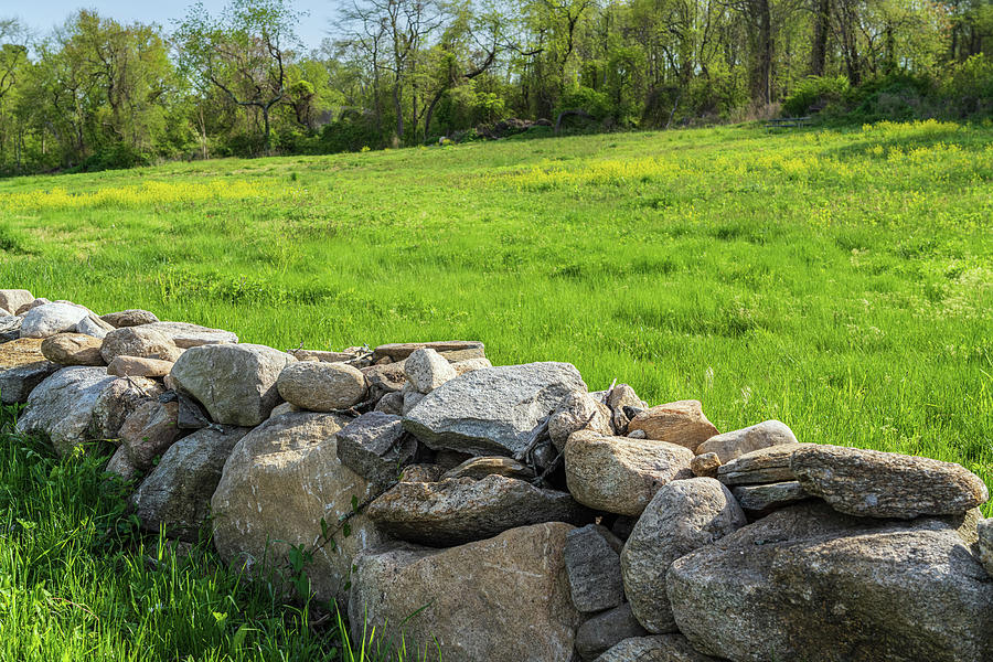 Springtime Green Field and Stone Wall I Photograph by Marianne Campolongo