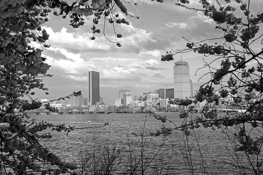 Springtime in Boston MA on the Charles River Prudential Hancock Black and White Photograph by Toby McGuire