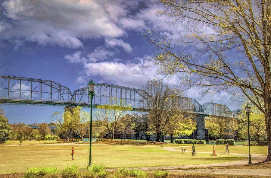 Springtime in Chattanooga, Tennessee Photograph by Marcy Wielfaert