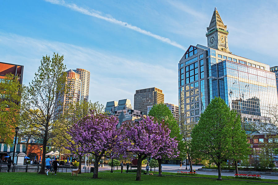 Springtime in Christopher Columbus park in Boston Massachusetts Photograph by Toby McGuire