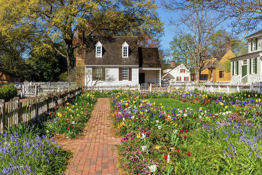 Springtime in Colonial Williamsburg Photograph by Rachel Morrison