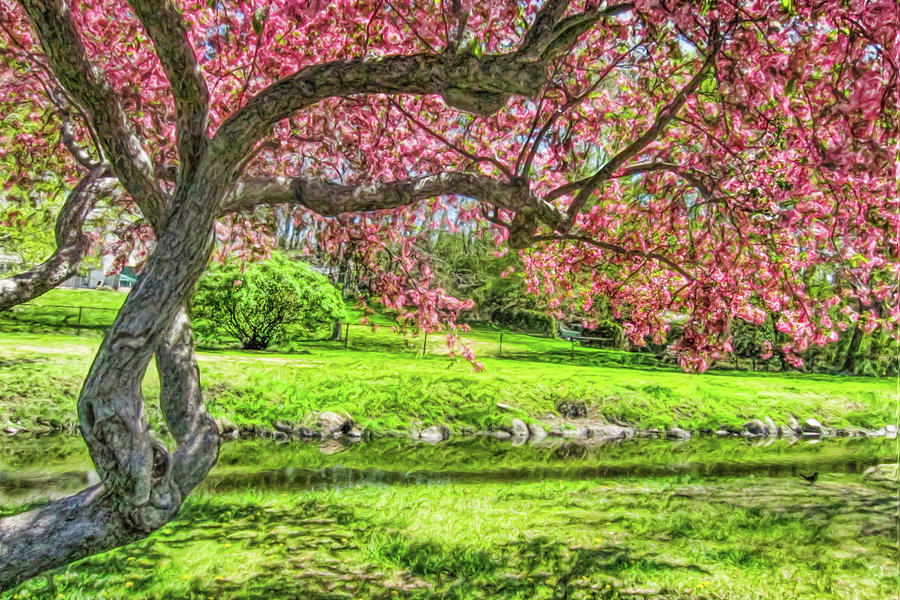 Springtime in New York Photograph by Cordia Murphy
