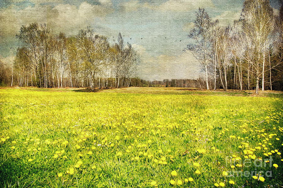 Springtime in the Moor Digital Art by Edmund Nagele FRPS