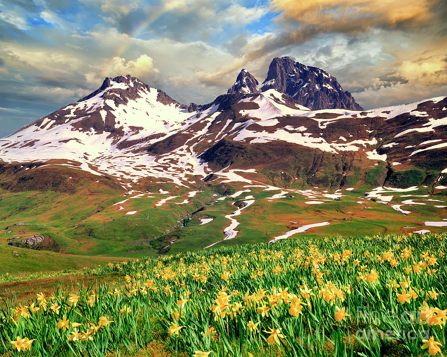 Springtime in the Pyrenees Photograph by Edmund Nagele FRPS