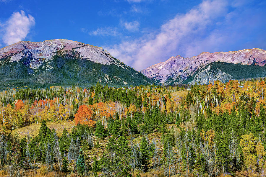 Springtime in the Rockies Digital Art by SnapHappy Photos