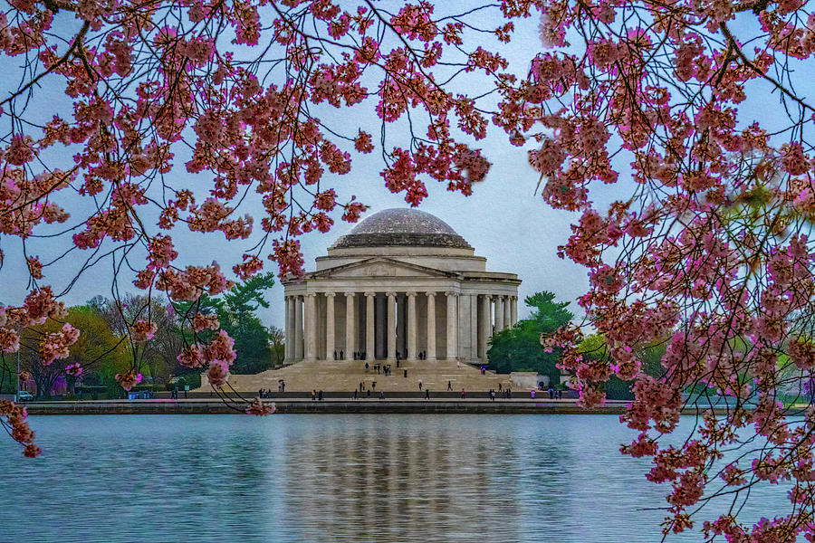 Springtime In Washington Photograph by Chris Lord
