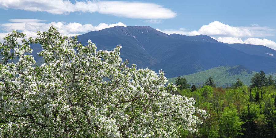 Springtime Lafayette View Photograph by White Mountain Images