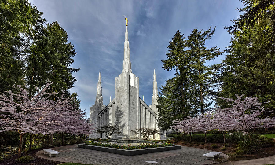 Springtime LDS Temple Photograph by Wes and Dotty Weber