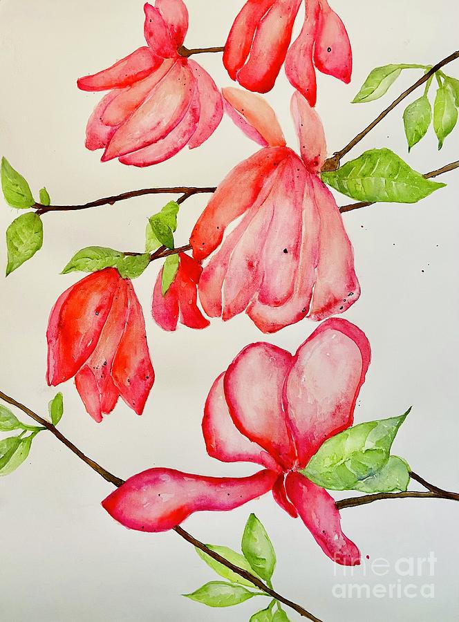 Springtime Magnolias  Painting by Sherry Harradence