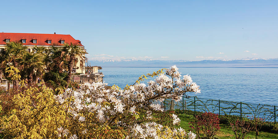 Springtime on Lake Constance, Germany Photograph by Tatiana Travelways