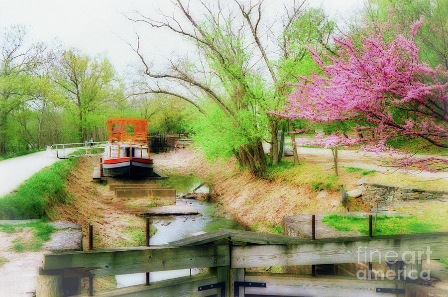 Springtime on the Canal - A Potomac Impression Photograph by Steve Ember