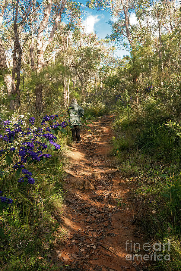 Springtime on the Mt. Melville Circuit Trail, Albany, Western Australia Photograph by Elaine Teague