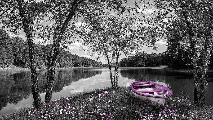 Springtime Reflections in Black and White and Pink Photograph by Debra and Dave Vanderlaan