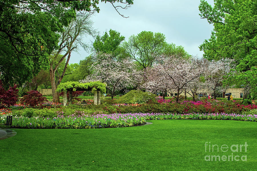 Springtime Showers - Dallas Arboretum Photograph by Diana Mary Sharpton