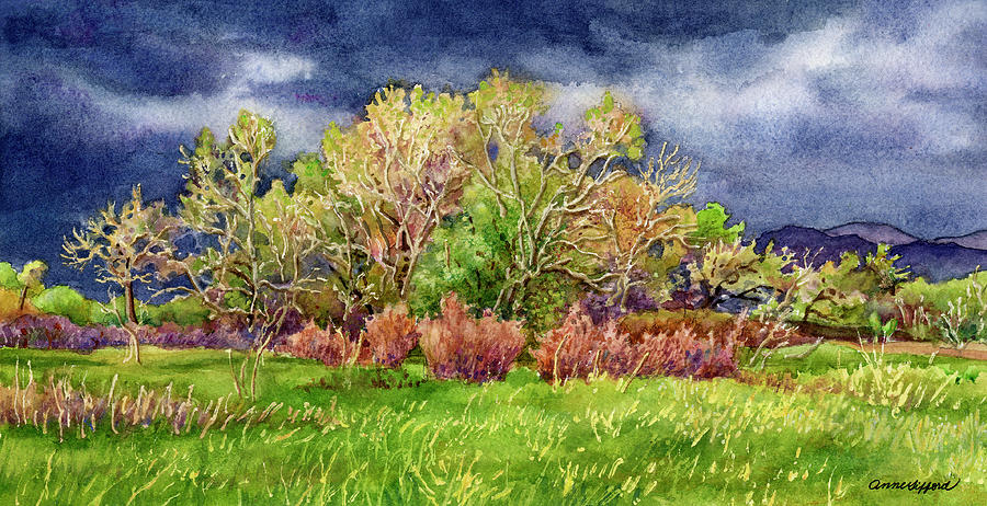 Springtime Stormy Sky Painting by Anne Gifford