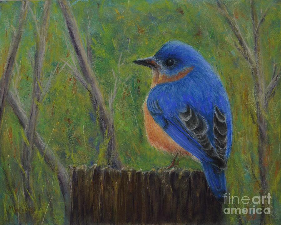 Springtime Visitor Pastel by Michelle Welles - Fine Art America