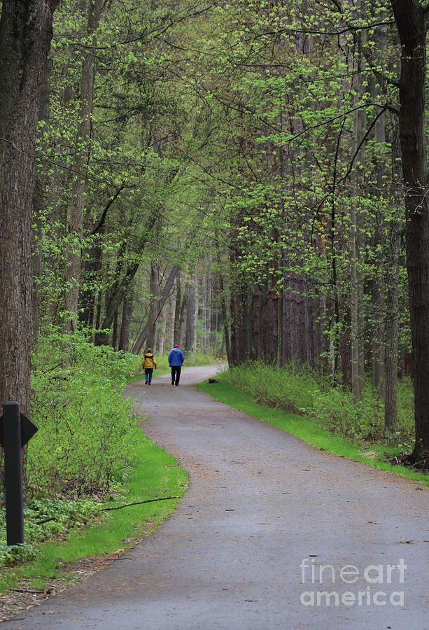 Springtime Walk in the Woods 2927 Photograph by Jack Schultz