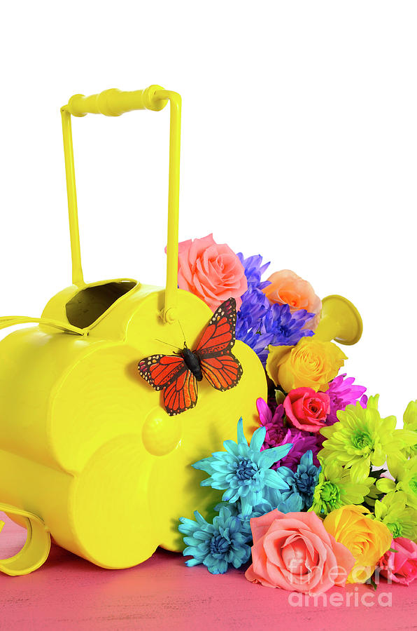 Springtime watering can and colorful bouquet flowers. Photograph by Milleflore Images
