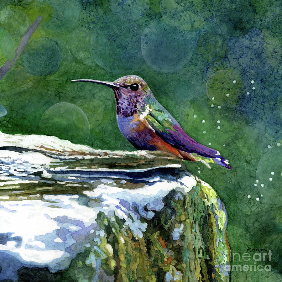 Sprinkle Tinkle - Hummingbird Painting