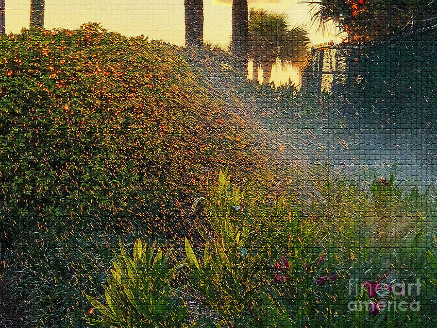 Dawn Photograph - Sprinkled by Eddy Mann Dawn Photograph - Sprinkled by Eddy Mann