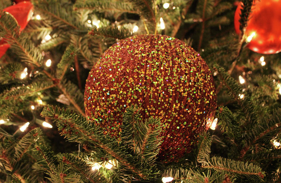 Sprinkled Ornament Photograph by Cynthia Guinn