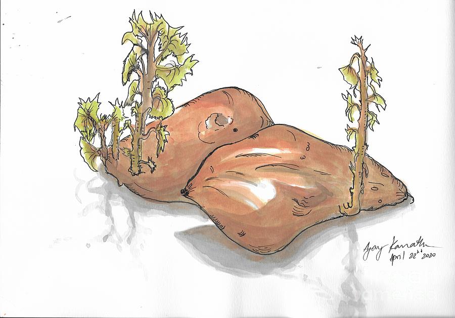 Sprouting Yams Painting by Ajay Kamath Fine Art America