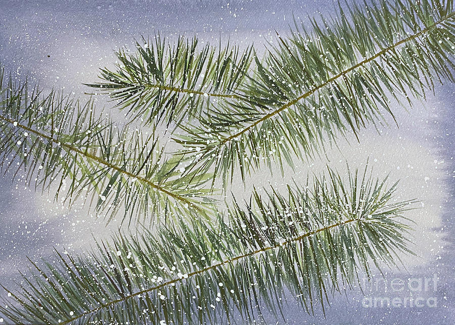 Spruce Branches on Blue Painting by Lisa Neuman