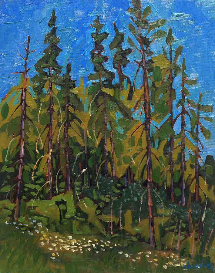 Spruce Forest Painting by Phil Chadwick